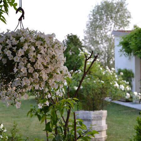 Two Elegant Depandance Villa Conscio Dış mekan fotoğraf